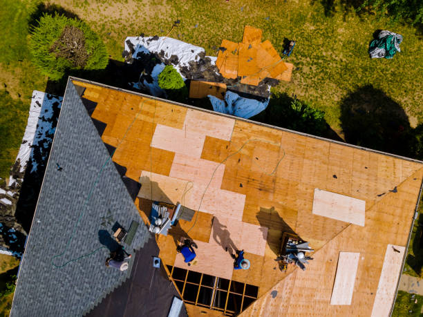 Best Roof Repair Services  in Gibson City, IL