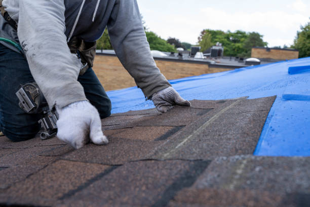 Best Shingle Roofing Installation  in Gibson City, IL